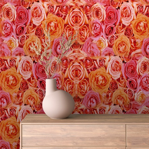 Rosen in Bunt-Rosa